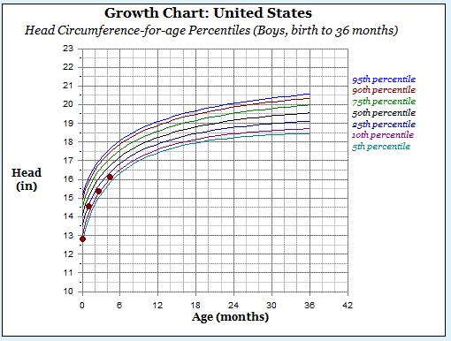 4 Month Old Head Circumference Chart