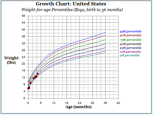 5 Month Old Weight Chart